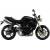 Produktbild Triumph Speed Triple [11]