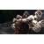 Produktbild Asura's Wrath