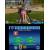 Produktbild Die Sims 3: Einfach tierisch (für 3DS)