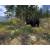 Produktbild The Hunter 2012 (für PC)