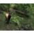 Produktbild The Hunter 2012 (für PC)