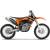 450 SX-F [12]