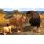Produktbild Wildlife Park 3 (für PC)
