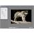 Produktbild Optik Verve Labs Virtual Photographer