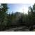 Produktbild The Hunter 2013 (für PC)