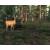 Produktbild The Hunter 2013 (für PC)