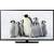 Produktbild Haier LE24M600C