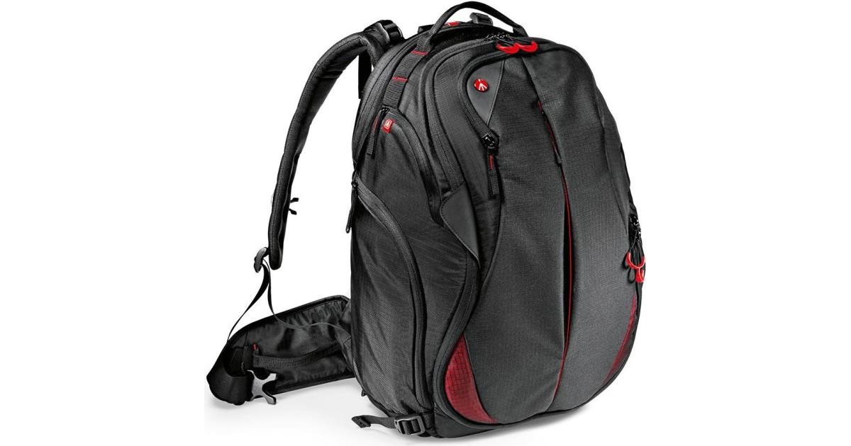 manfrotto bumblebee 230