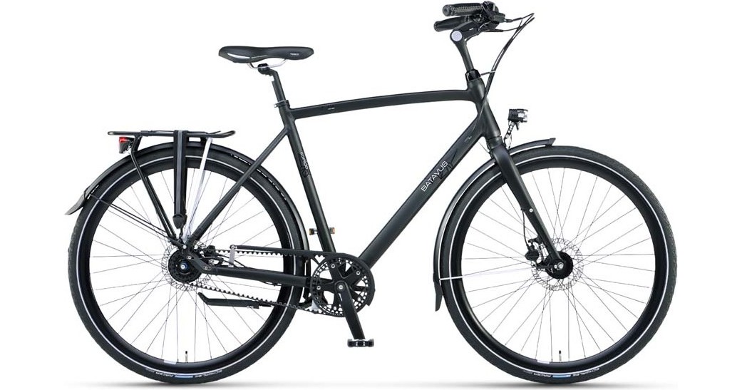 Batavus Sonido Herren (Modell 2018) Test | Testberichte.de