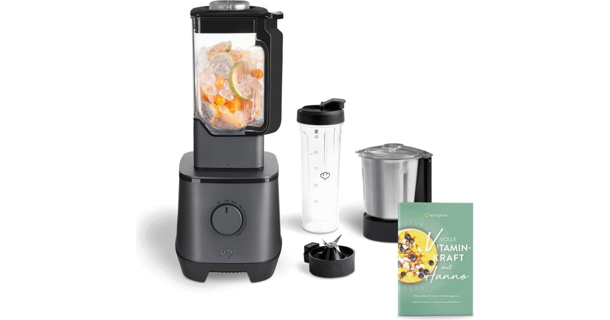 SPRINGLANE Thermobehälter für Speiseeis 2er-Set 500 ml