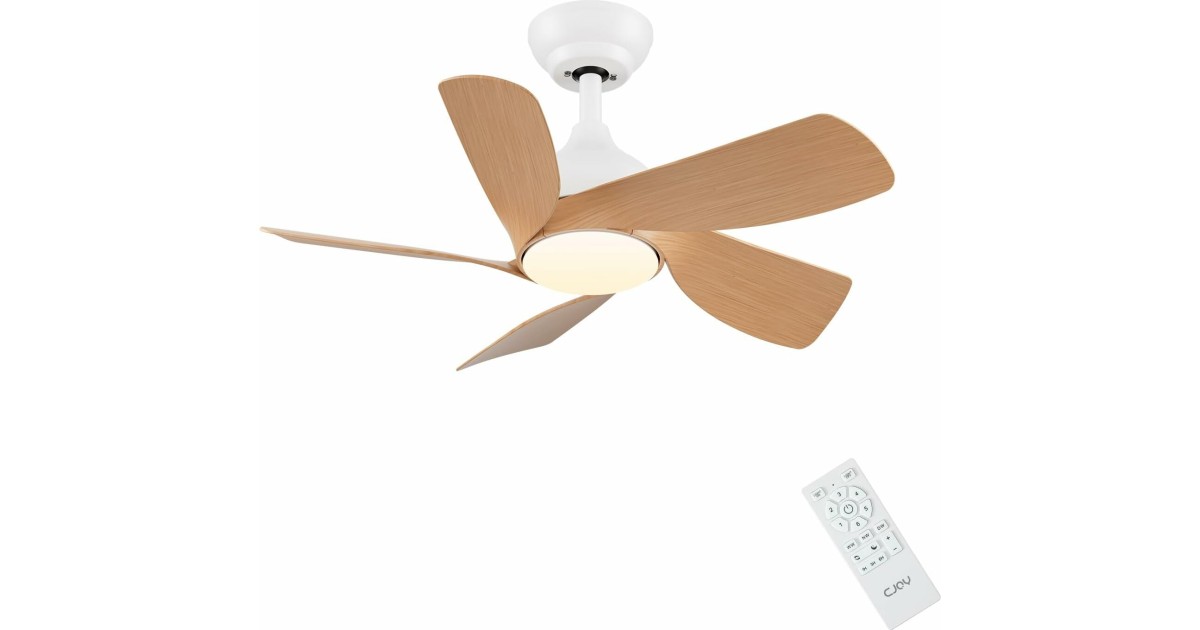 CJOY CJ30-1136W: 1,5 sehr gut | Effiziente Kühlung und stilvolle ...
