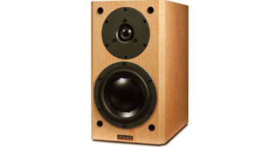 Dynaudio 84002 15w75 Tieftöner Defekt