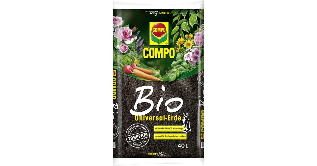 saatgut versand bio BIO-Saatgut-Set Naschgarten 6 samenfeste Gartenpflanze kaufen main image 1