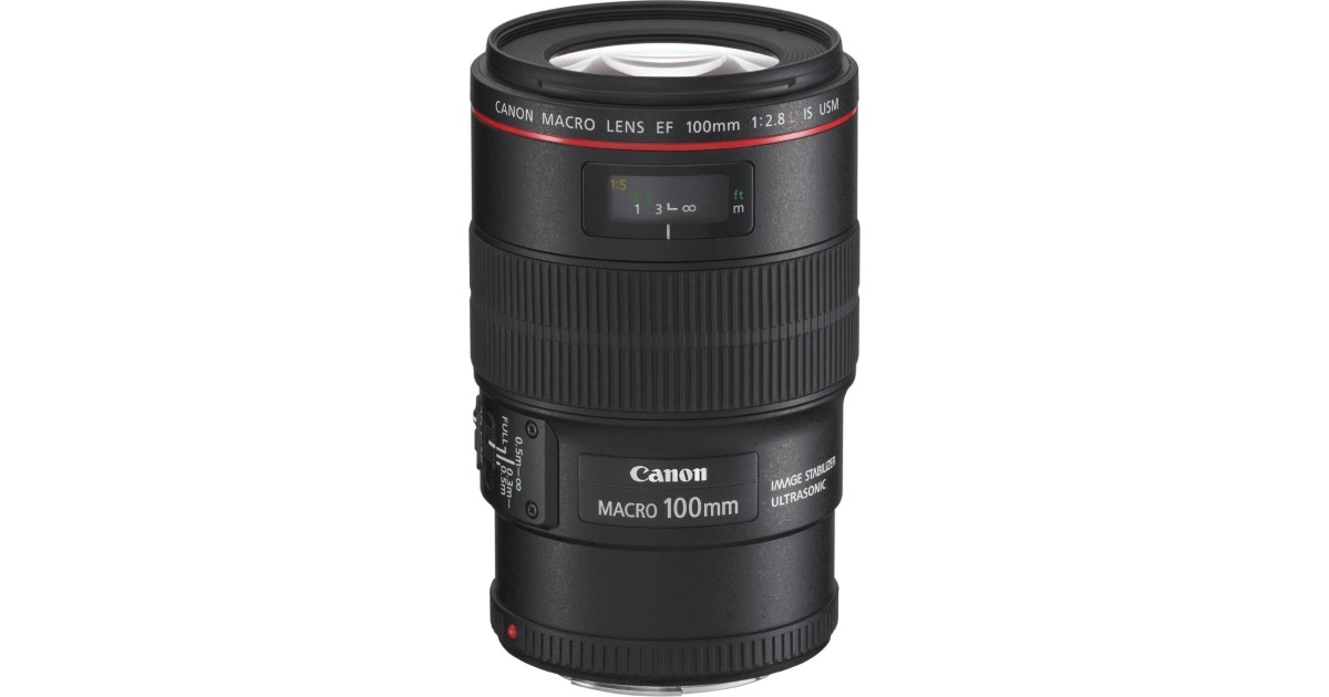 Canon EF 100mm f/2.8L Macro IS USM im Test: 1,4 sehr gut | Erstes 