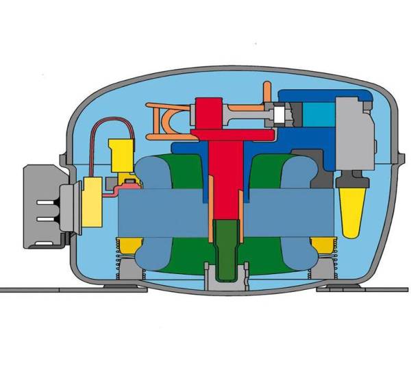 Mobicool FR40 AC/DC: Unsere Analyse zur Kompressor-Kühlbox