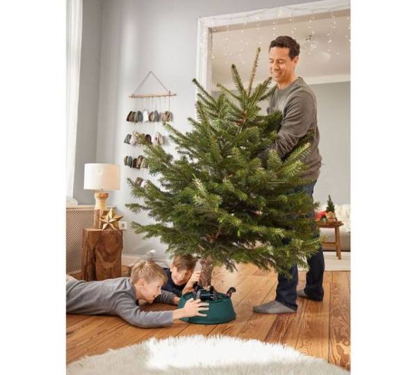 Lidl / Melinera Weihnachtsbaumstnder im Test | Unsere Analyse zum  Christbaumstnder