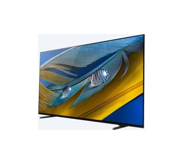 Sony XR-55A80J im Test: 1,6 gut