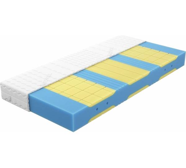 Was Ist Besser 7 Zonen Kaltschaummatratze Oder Bonell Federkernmatratze AM-Qualitätsmatratzen Premium Plus 7-Zonen Kaltschaummatratze: 1,5 sehr gut