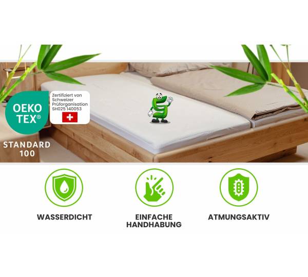 dracaena family Large Dracaena Lemon Lime Houseplant with Planter - Large (30