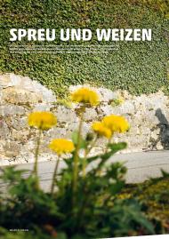 velojournal: Spreu und Weizen (Ausgabe: Spezial 2014)