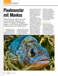 TAUCHEN: Pixelmonster mit Mankos (Ausgabe: Nr. 10 (Oktober 2013))