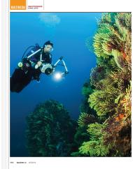 TAUCHEN: Spiegellose Profiklasse in drei UW-Gehäusen (Ausgabe: 4)