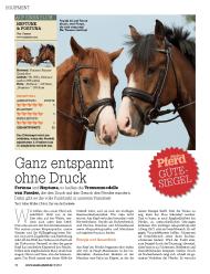 Mein Pferd: Ganz entspannt ohne Druck (Ausgabe: Nr. 9 (September 2013))