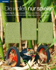 SFT-Magazin: Die wollen nur spielen (Ausgabe: 8)