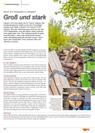 Heimwerker Praxis: Groß und stark (Ausgabe: 6)