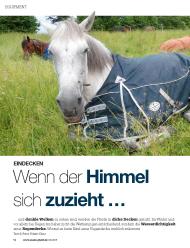 Mein Pferd: Wenn der Himmel sich zuzieht ... (Ausgabe: 3)