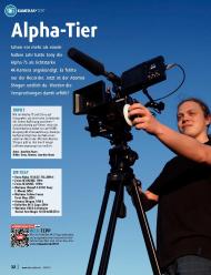 VIDEOAKTIV: Alpha-Tier (Ausgabe: 3)