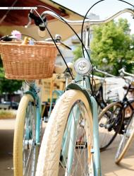 CYCLE: Klassiker gesucht (Ausgabe: 4)