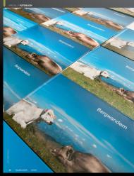 fotoMAGAZIN: Beste Bücher (Ausgabe: 9)