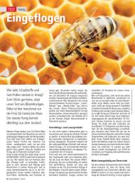 Konsument: Eingeflogen (Ausgabe: 11)