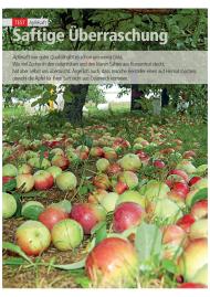 Konsument: Saftige Überraschungen (Ausgabe: 4)