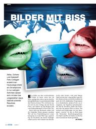 connect: Bilder mit Biss (Ausgabe: 12)