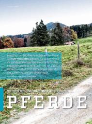bikesport E-MTB: Pferdestärken (Ausgabe: 1-2/2016)