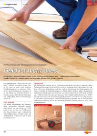 Heimwerker Praxis: Geld ist nicht alles ... (Ausgabe: Sonderheft Fußböden und Wände 1/2015)