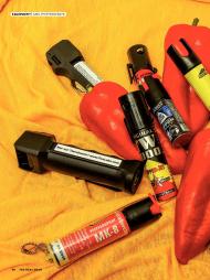 TACTICAL GEAR: Chili Inside (Ausgabe: 2)