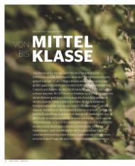 Procycling: Von Mittel bis Klasse (Ausgabe: 4)
