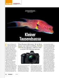 TAUCHEN: Kleiner Tausendsassa (Ausgabe: 4)