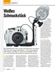 TAUCHEN: Weißes Schmuckstück (Ausgabe: 11)