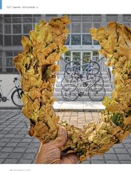 Radfahren: Topseller '16 (Ausgabe: 11-12/2016)