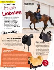 Mein Pferd: Unsere Liebsten (Ausgabe: 10)