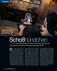 SFT-Magazin: Schoßhündchen (Ausgabe: 2)
