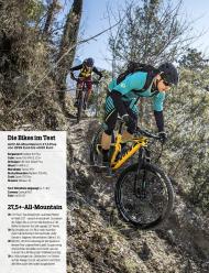 MountainBIKE: Fett! (Ausgabe: 3)