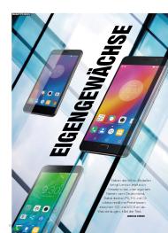 connect: Eigengewächse (Ausgabe: 4)