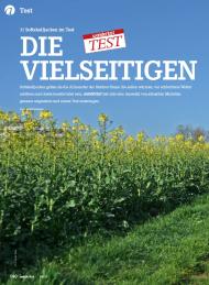 Wanderlust: Die Vielseitigen (Ausgabe: 4)