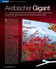 SFT-Magazin: Akribischer Gigant (Ausgabe: 12)