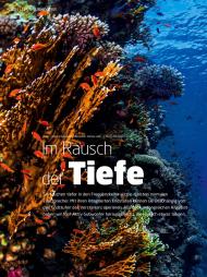 video: Im Rausch der Tiefe (Ausgabe: 4)